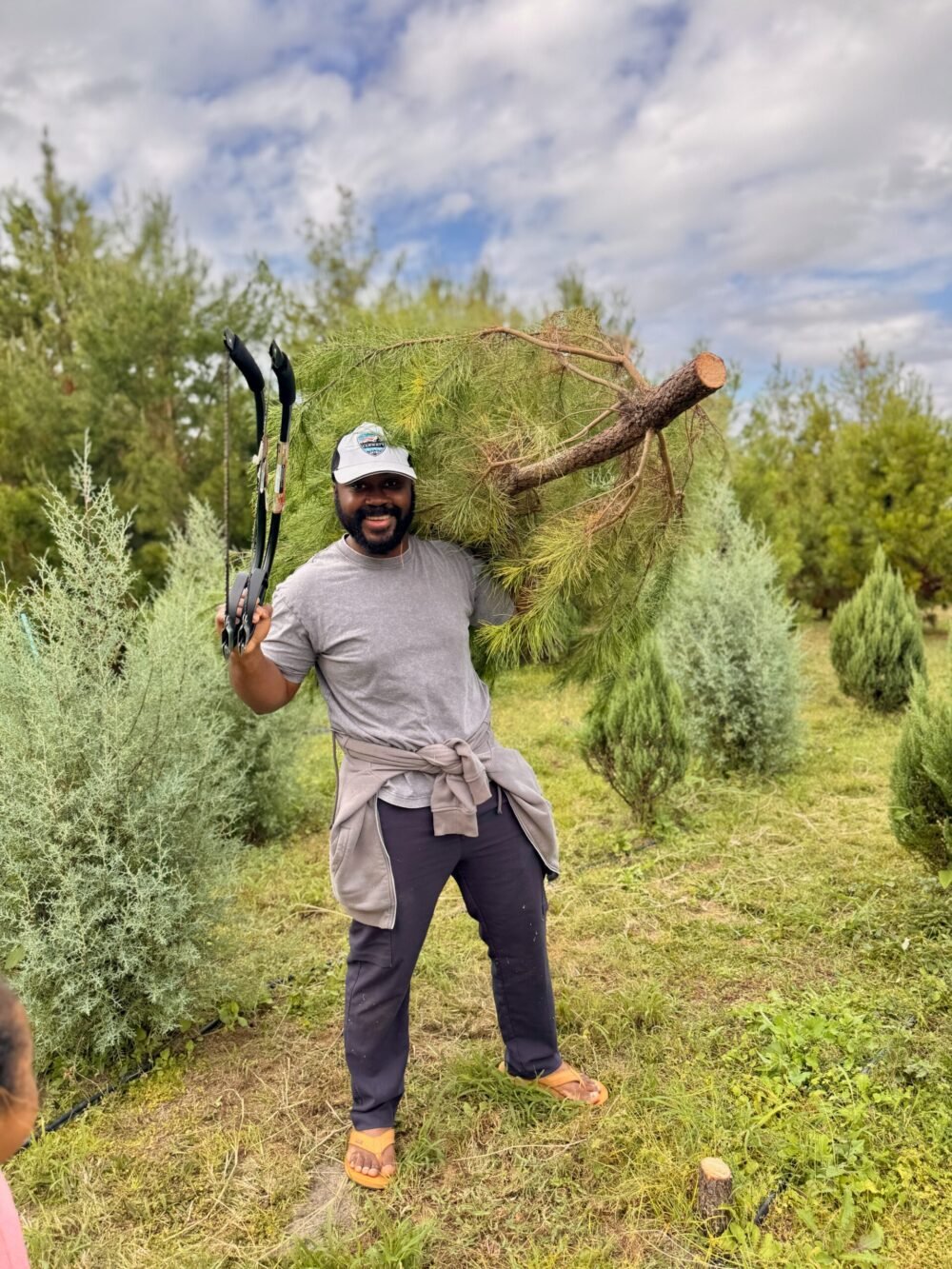 holding a Christmas tree - Holiday Family Traditions