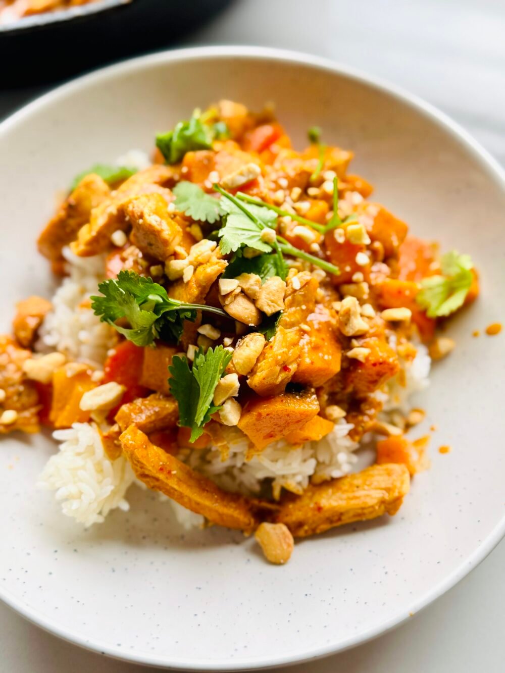 Panang Curry over rice close up shot