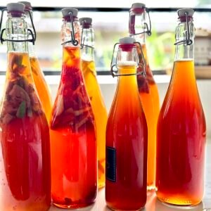 Homemade Kombucha1