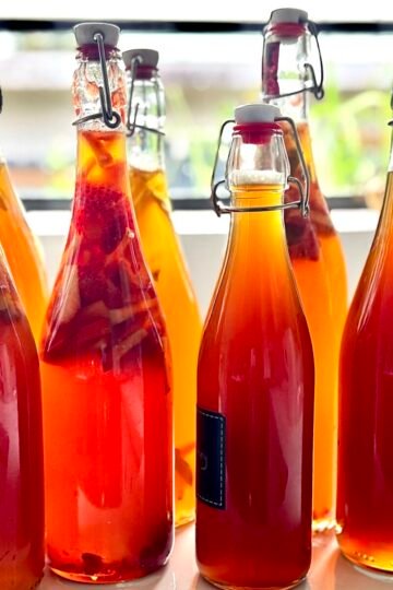Homemade Kombucha1