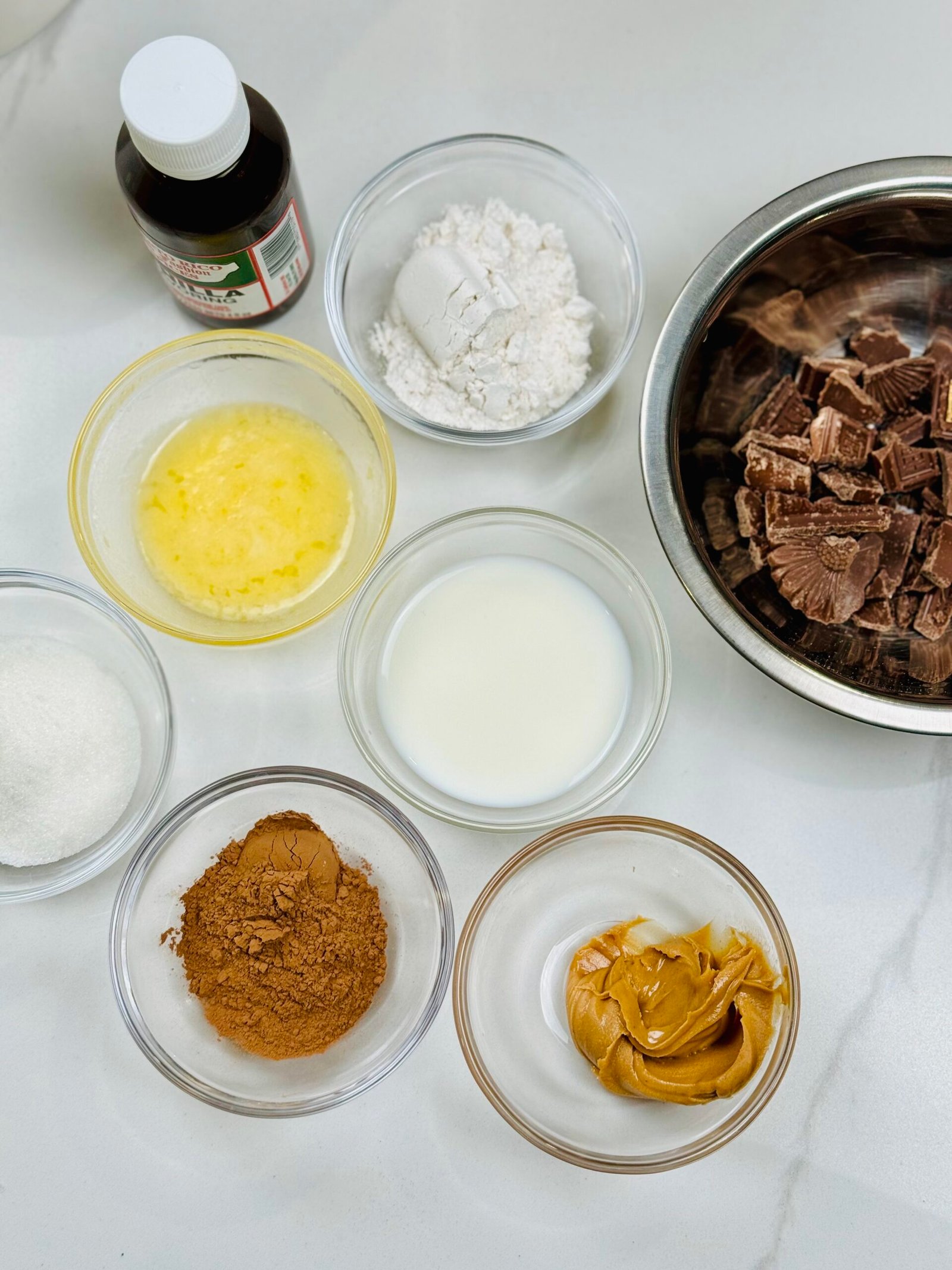 Ingredients for chocolate peanut butter mug cake including cocoa powder chocolate chips peanut butter flour sugar milk and vanilla