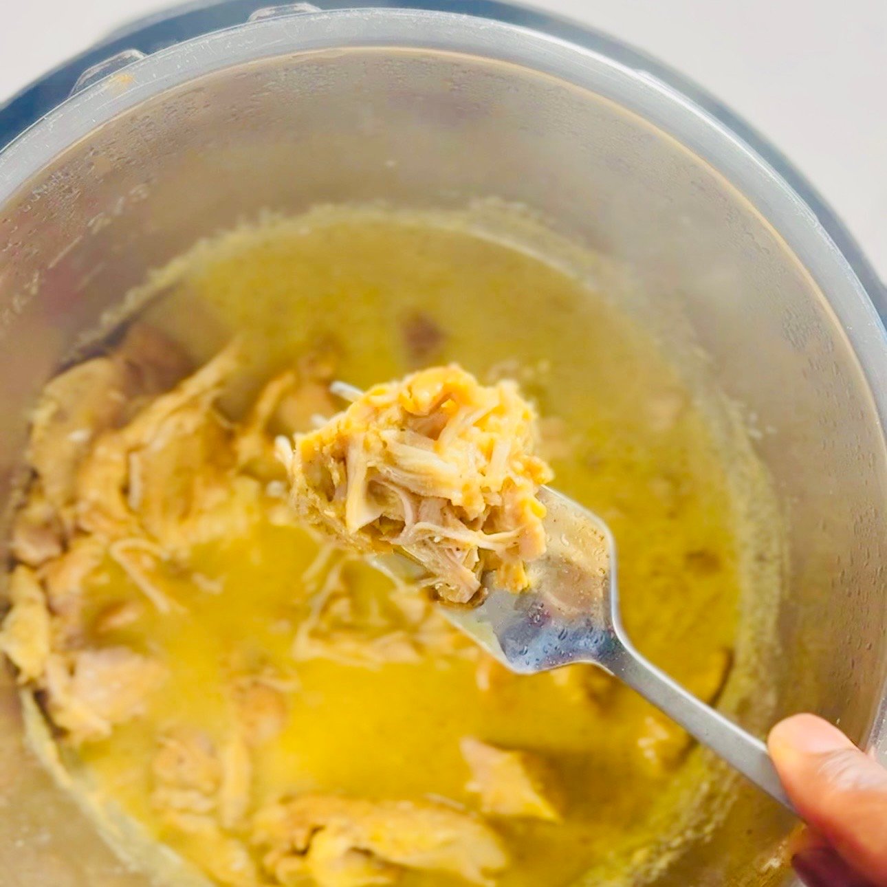 Shredded Instant Pot mojo chicken coated with reduced citrus garlic cooking juices